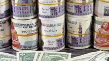 تراجع حاد ودولار مستقر عند 47 جنيهاً في سوق الصرف المصري